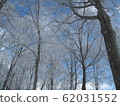 Rime-8 62031552