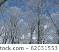 Rime-9 62031553