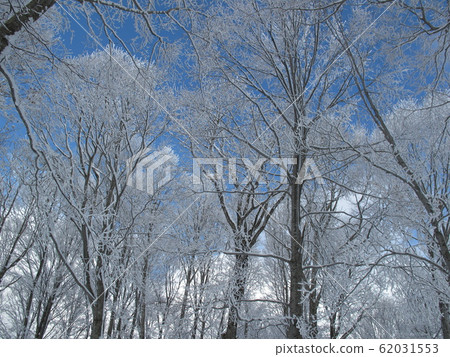 Rime-9 62031553