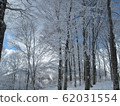 Rime-10 62031554