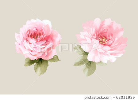  Colorful floral material combinations and design elements 62031959