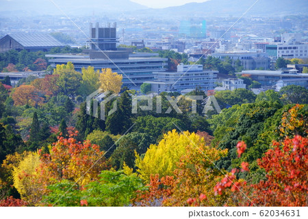 Nara Prefectural Office beyond the autumn leaves Nara Prefectural Office beyond the autumn leaves 62034631