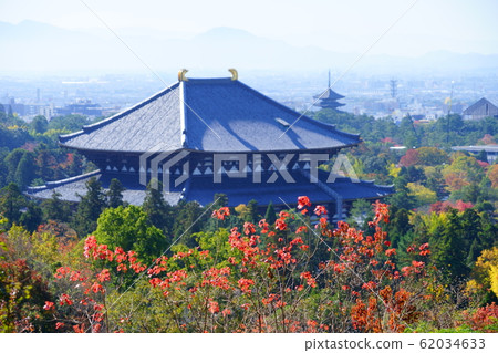 日出東大3 62034633