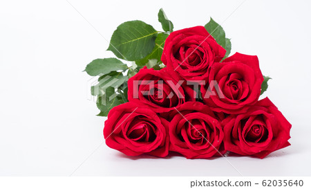 Red rose flowers on white background. Red rose flowers on white background. 62035640