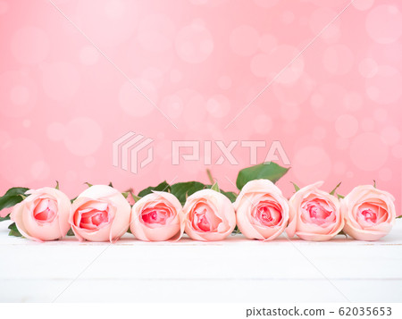 Close up at pink rose flower on white wood plate and pink background. Use for valentines day, love and relationship concept. Close up at pink rose flower on white wood plate and pink background. Use for valentines day, love and relationship concept. 62035653