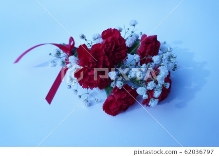 Carnation bouquets Carnation bouquets 62036797