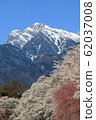 Row of cherry blossom trees and Kai Komagatake in Mahara, Yamanashi Prefecture 62037008