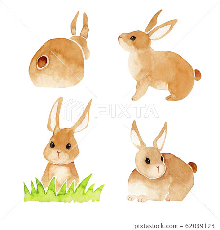 Easter bunny cartoon illustration set watercolor illustration 62039123