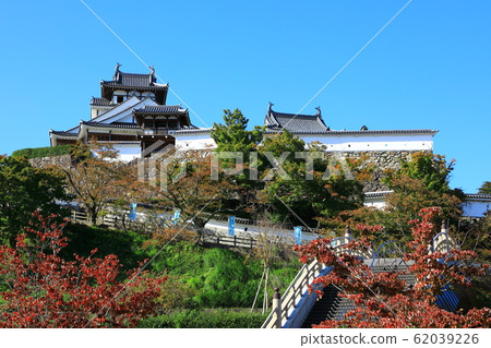福知山城〉 62039226
