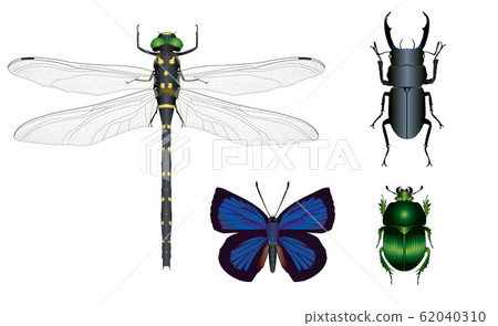 Onyanma and Kokuwagata 62040310