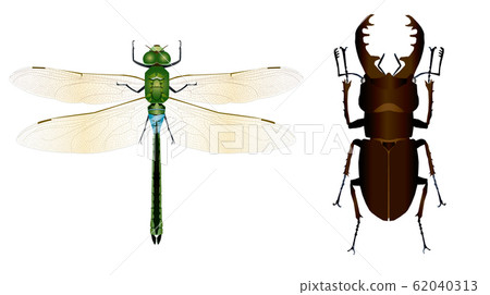 銀杏馬和宮山wa 62040313