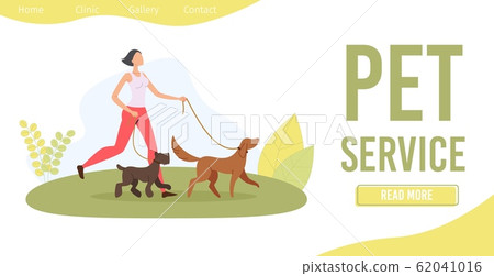 dog walking service