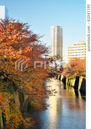 View from autumn leaves of Meguro River Nakazato Bridge View from autumn leaves of Meguro River Nakazato Bridge 62041195