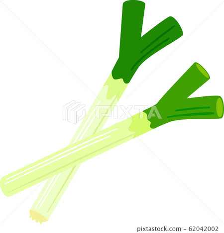 Japanese leek Japanese leek 62042002