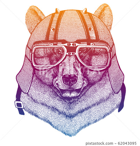 Bear wearing motorcycle helmet. Speed and road. Vintage style vector illustration. Face of dangerous wild animal. Portrait head of biker. 62043095