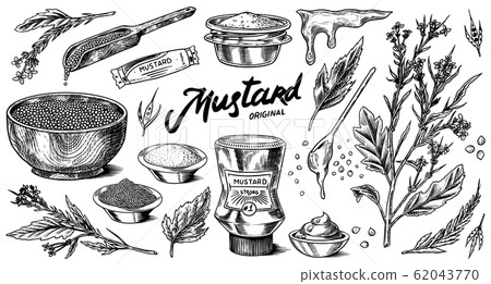 Mustard seeds and plant set. Spicy condiment, seasoning bottle, packaging and leaves, wooden spoons 62043770