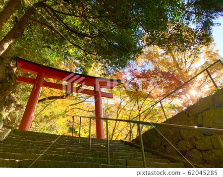 Horokodera山秋葉 62045285