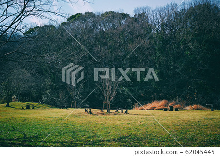 冬季草坪公園長椅對森林 冬季草坪公園長椅對森林 62045445