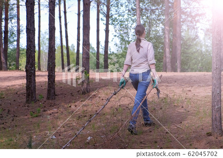 Woman carries felled trees to a forest scout's camp for firewood, back view. 62045702