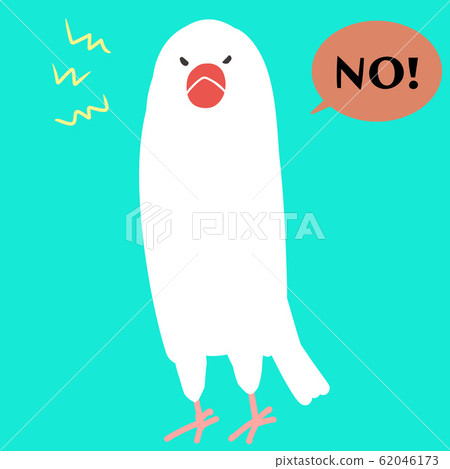 Birds angry Birds angry 62046173