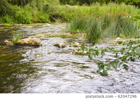 fast current on the river, shallow river, stones 62047296