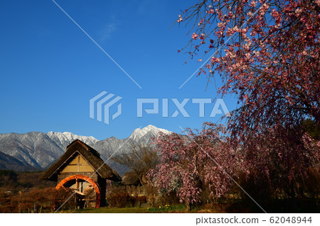 竹川町,北斗市,垂枝櫻花和水車,南阿爾卑斯冬季中期的小松岳 竹川町,北斗市,垂枝櫻花和水車,南阿爾卑斯冬季中期的小松岳 62048944