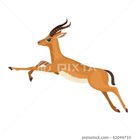 Gazelle Or Antelope With Horn Running In Stock Illustration