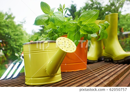 garden tools garden tools 62050757