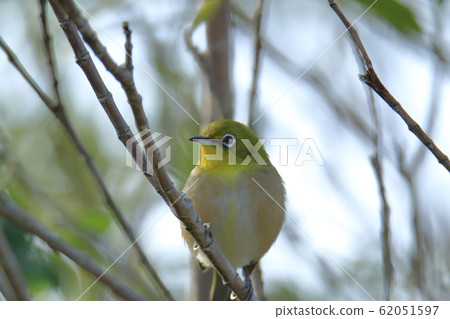 Omuta City Miike Port Meijiro, 62051597