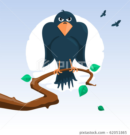 Raven Raven 62051865
