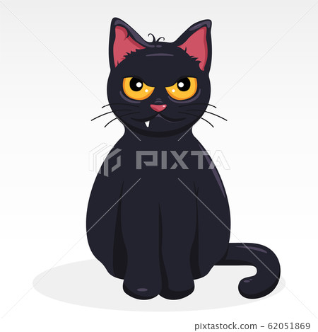 Black Kitten Black Kitten 62051869