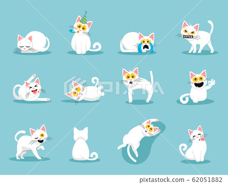 White Kittens White Kittens 62051882