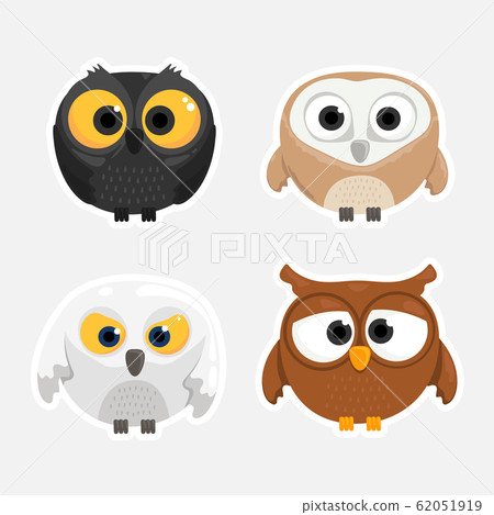 owls owls 62051919