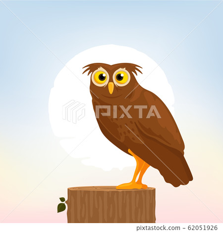 owl sitting on a trunk owl sitting on a trunk 62051926