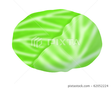 白菜（無干線） 62052224