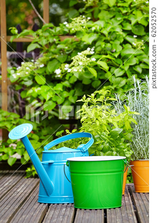 concept of gardening and hobby concept of gardening and hobby 62052570