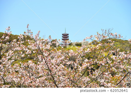 Scenery of Green Heights in Yokosuka City, Kanagawa Prefecture Scenery of Green Heights in Yokosuka City, Kanagawa Prefecture 62052641