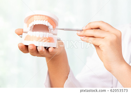 Close up Orthodontic dental professional dentist showing teeth implant and professional dental tool. Close up Orthodontic dental professional dentist showing teeth implant and professional dental tool. 62053573