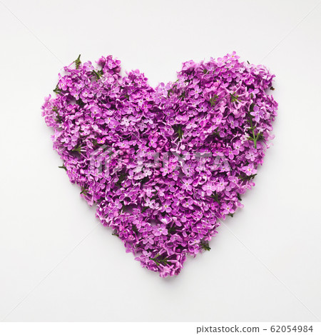 Top view on lilac flowers heart, isolated on white Top view on lilac flowers heart, isolated on white 62054984