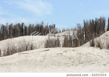 Dunes 62055914