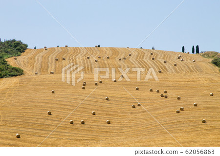 Tuscany hills panorama summer view, Italian 62056863