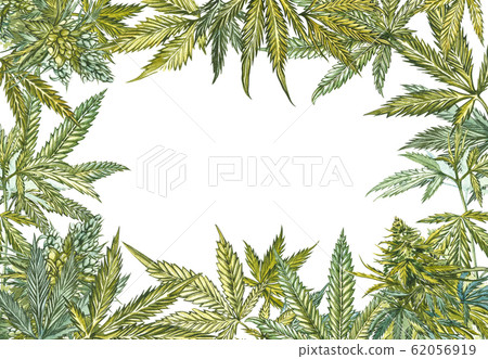 CBD oil hemp products. Watercolor illustration on white background. Set of drawing floral elements, watercolor botanical illustration. Seamless patterns. Good for cosmetics, medicine, treating 62056919