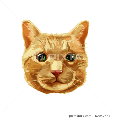 Red cat head vector 62057365