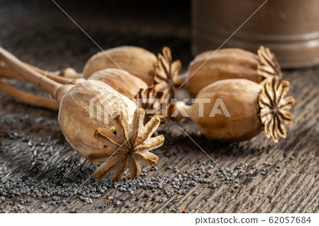 Dried poppy heads with poppy seeds, closeup 62057684