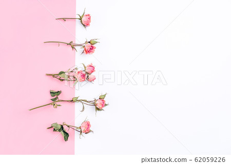 Frame of dried rose flowers on white and pink Frame of dried rose flowers on white and pink 62059226