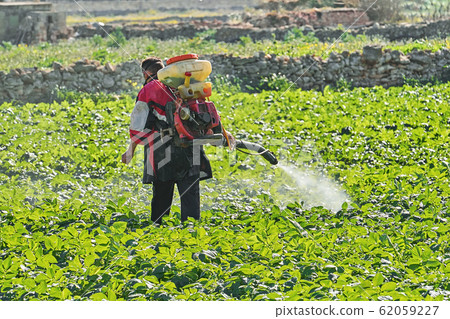Farmer with manual electric fogger machine spraying pesticides and herbicides 62059227