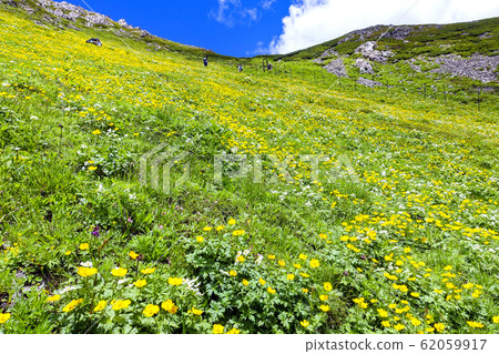 荒川前岳坡花園2 荒川前岳坡花園2 62059917
