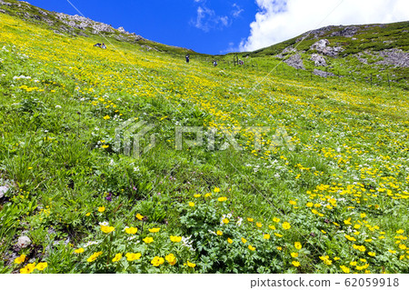 荒川前岳坡花園3 62059918