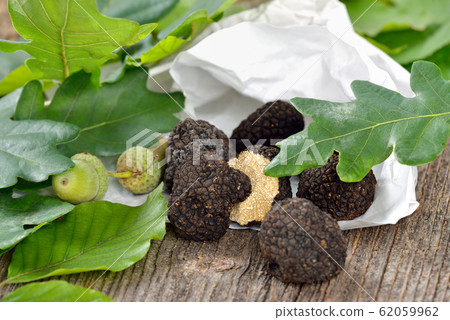 Fresh black truffles Fresh black truffles 62059962