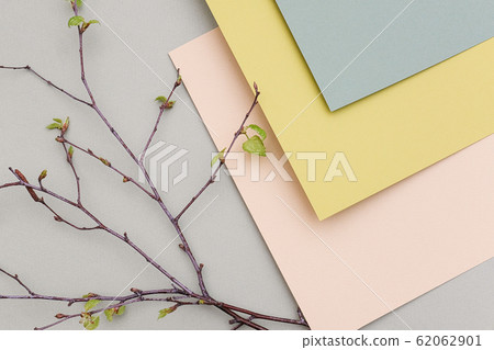 Branches of a tree with young blossoming leaves on 62062901